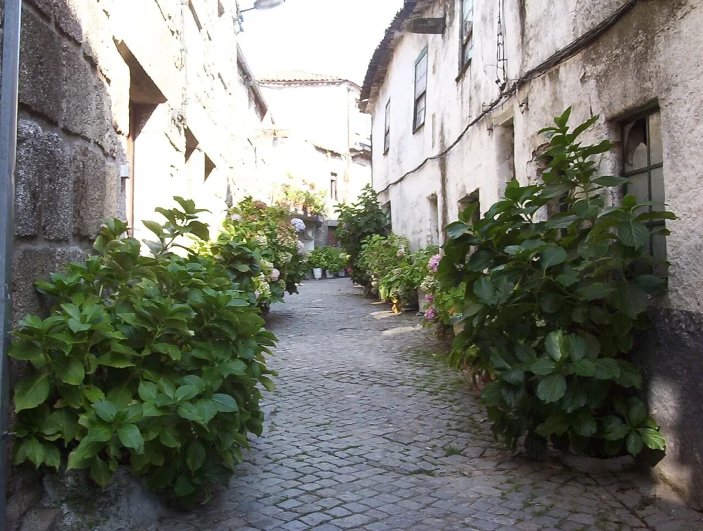 Street in historic Trancoso.