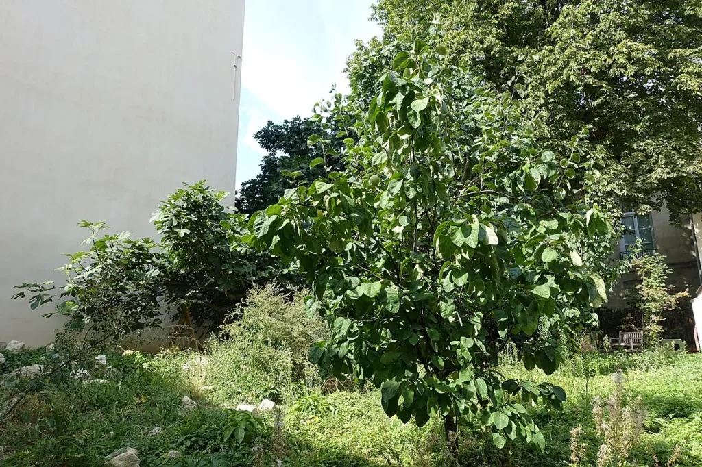 Garden interior at Jardin des Rosiers - Joseph Migneret in Paris.